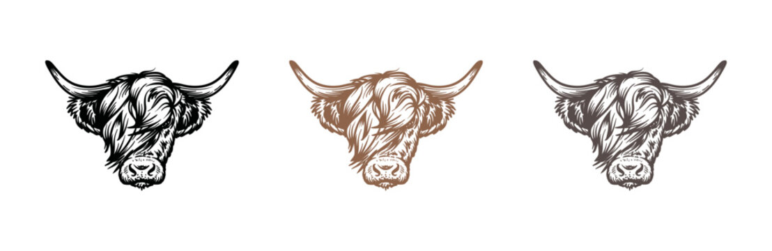 Head of highland cattle cow illustration hand drawn symbol icon logo vector. Farm logo design