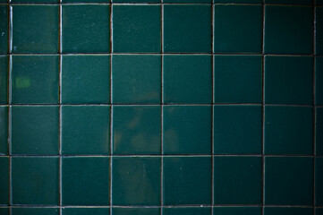 dark green wall bathroom, interior design