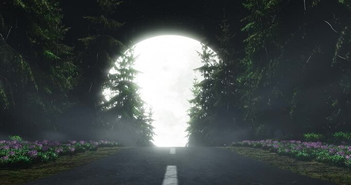 The road cuts through the mountain pine forest. There are flower bushes by the side of the road. Heading towards full moon at night. Early winter night road with fog covering the surface.3D Rendering