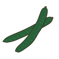 野菜のイラスト　農産物　食べ物　食材　きゅうり