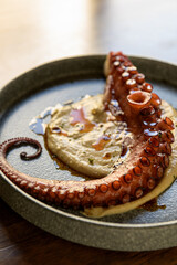 Octopus and hummus on a plate © Natalia