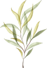Watercolor Green Leaves Branches
