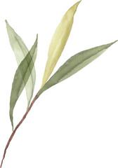 Watercolor Green Leaves Branches