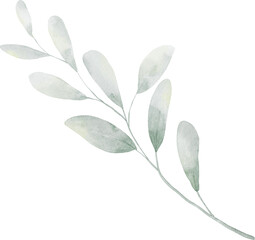 Watercolor Green Leaf