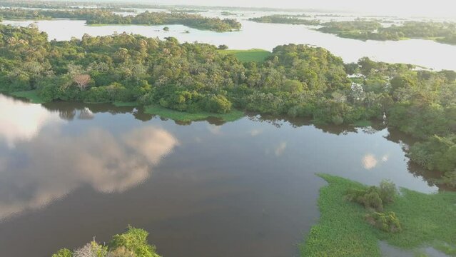 amazon forest River AMAZONAS Lake  water Landscape
