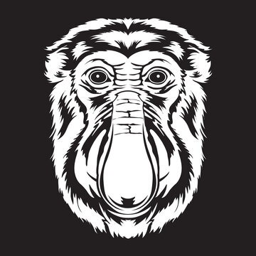 Proboscis Monkey Face Vector Iilustration In Hand Drawn Style, Perfect For Tshirt And Mascot Design 