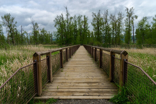 Steigerwald Lake National Wildlife Refuge, Camas Washington	