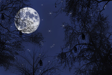 pleine lune sur la forêt