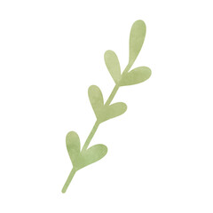 leaf