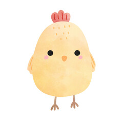 baby chicken