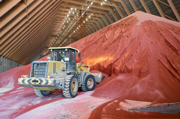 Excavator collects red potassium agricultural fertilizers
