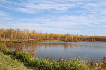 Fototapeta na wymiar autumn landscape with lake, Elk Island National Park, Alberta