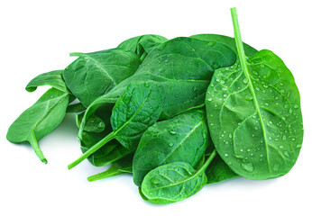 Spinach leaves isolated on white background. Fresh baby Spinatch with water drops close up