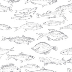 Fish vector seafood background, vintage sketch of fish seamless pattern.