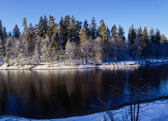 Winter morning by the river