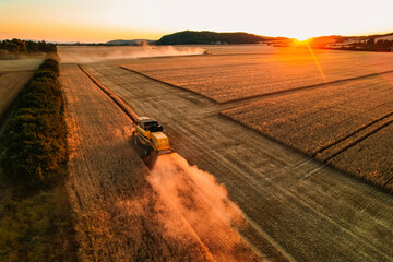 Combine harvester agriculture machine harvesting golden ripe wheat field. The harvester is...