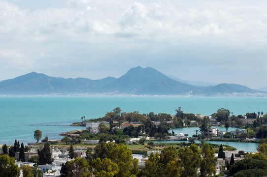 View of the ancient harbour, Carthage, Tunisia