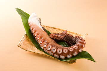 タコ足 © stzeeana