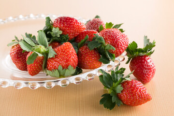 いちご　とちおとめ