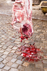 Traditional Home pig kill in the Czech Republic. Pig hanging upside down.