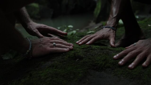 Man's hands touching the moss on the ground in a tropical forest and enjoy the soft feeling