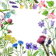 Watercolor illustration, square frame of wildflowers.