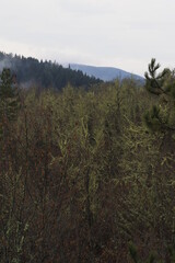 view from national park