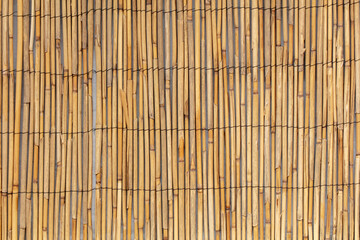 Reed fence wall as abstract background.