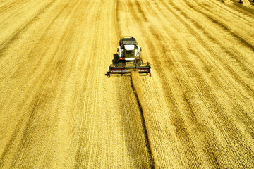a combine harvester harvesting a field of wheat rural landscape