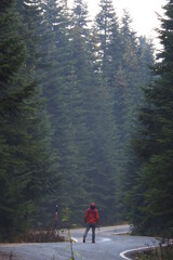 Fototapeta premium view from national park