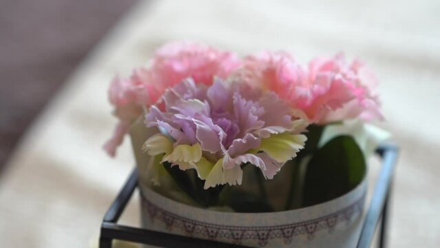flower pot  showpiece closeup aaa