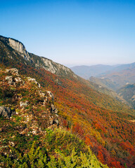 Fototapeta premium landscape from national park