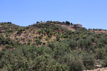 A mosque on the mountain in the middle of the forest
