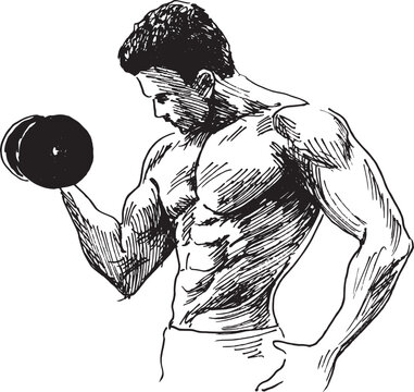 Hand sketch of a bodybuilder. Vector illustration.
