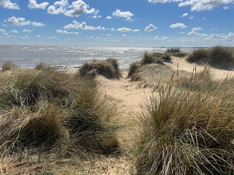 Landscape ocean view at Walberswick beach Suffolk East Anglia uk in Summer  blue sky, small white clouds, calm sea sun light reflected view from grassy sand banks to horizon on peaceful day no people