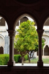 Claustro del Monasterio de Alcobaça, Portugal