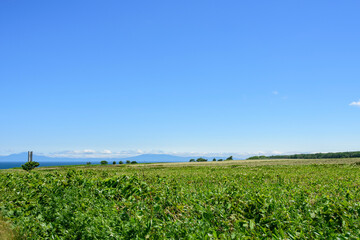 能取岬から望むオホーツクと知床

