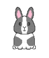 Black and white Rabbit Illustration by Pixel Art