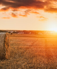 Dramatic beautiful landscape of a harvested field with a hay bale roll. Summer sunset in the rural area. Warm countryside harvesting meadow panorama.