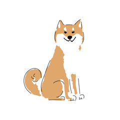 Japanese dog, Shiba Inu, Hand drawn vector illustration.