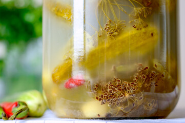 Tasty salt cucumbers with herbs and muddy brine in a glass jar, naturally fermented with lactic acid. Useful pickles vegetables with saline in a jar on the table, close-up