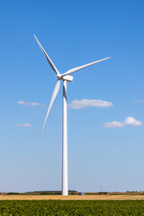 Energies renouvelables et d&eacute;veloppement durable - Eolienne dans un champ de c&eacute;r&eacute;ale sur fond de ciel bleu