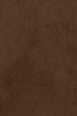 Saturated dark brown colored low contrast Concrete textured background. Empty colorful wall texture with copy space for text overlay and mockups. 2023, 2024 color trend