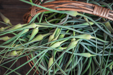A stalk of garlic flowers in a wicker basket