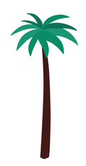 야자수 일러스트
