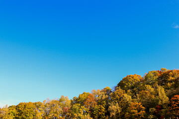 Fototapeta premium 北海道の緑と秋の空