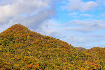 北海道の緑と秋の空