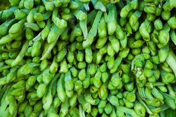green vegetables piled up that the merchant sells