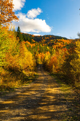 Fototapeta premium autumn in the mountains