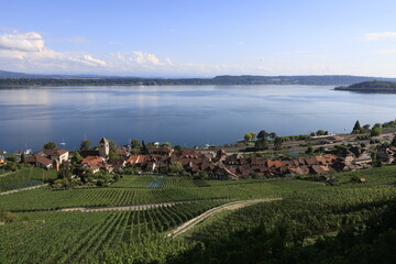 twann am bielersee schweiz rebberg kirche